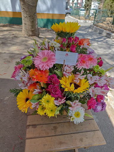 Florería Lomas