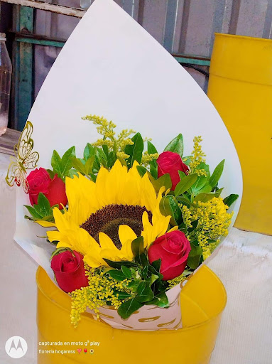Florería hogaress