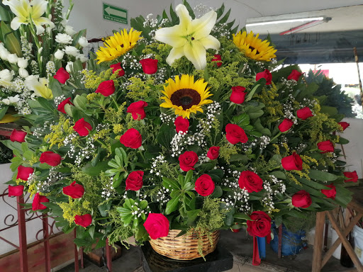 Florería Los Alcatraces