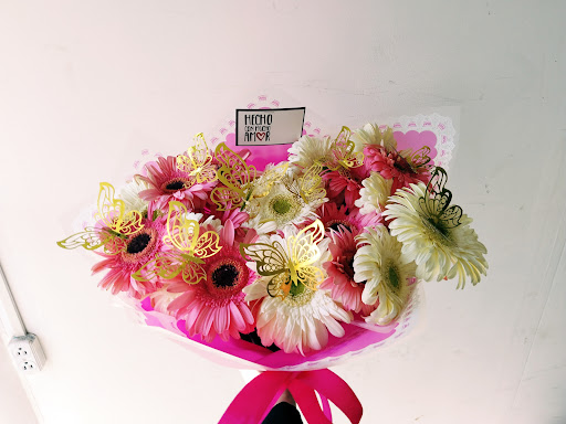 Casa Floral Zaira Villagran