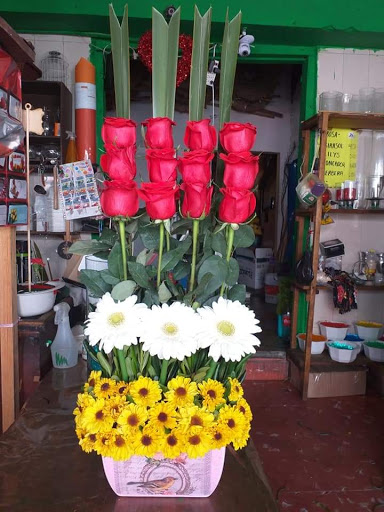 Florería Gardenia