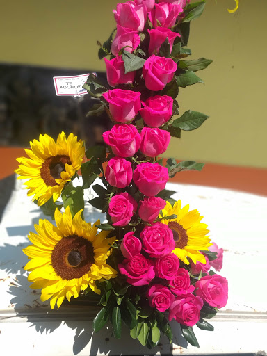 Floreria Tejupilco Cristo-Fer