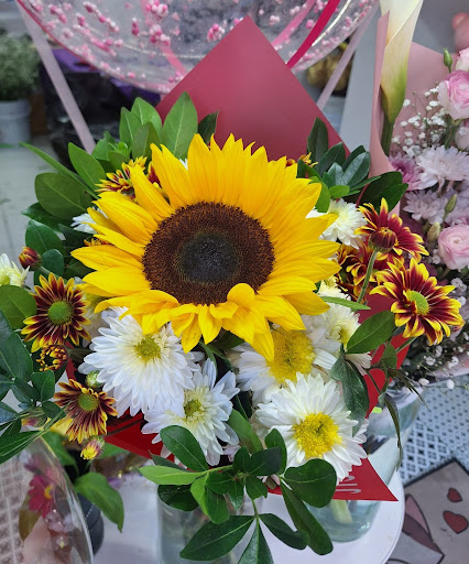 Florería y tienda de regalos Andrómeda