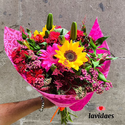 Flores Lavidaes