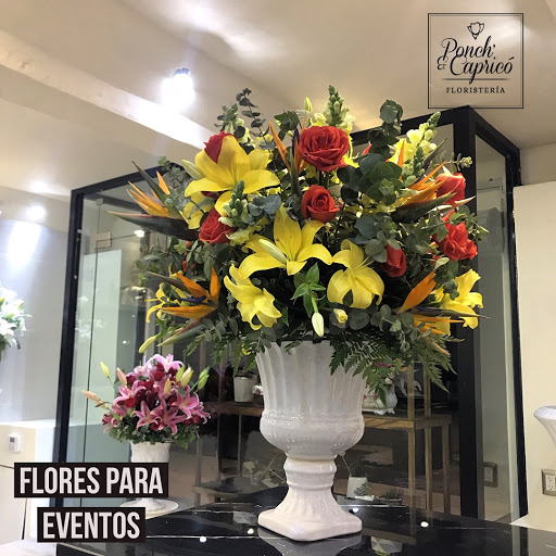 Florería Ponch' & Capricó | Envía Flores a Domicilio CDMX