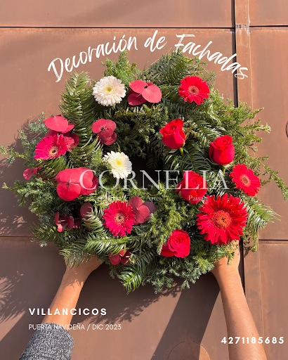 Cornelia