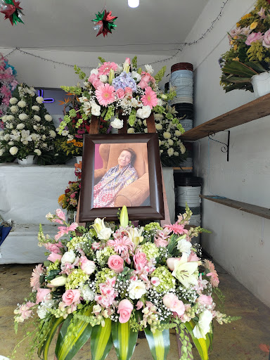 Florería Minerva panteón municipal Teoloyucan