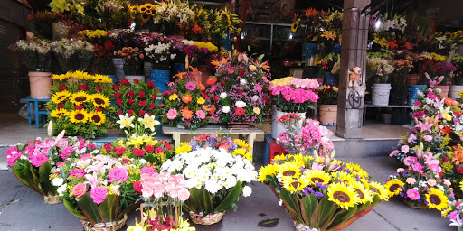 Florería Casa Blanca