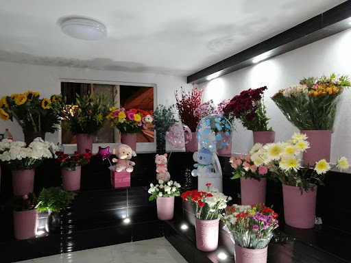 La casa de las flores