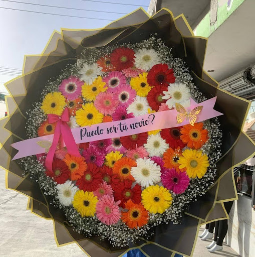 Florería y Novedades mi Dulce Lupita