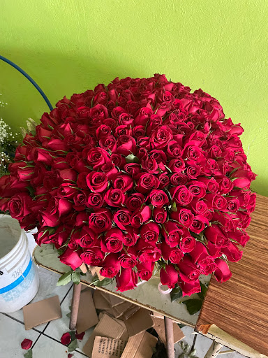 FLORERIA AZUCENA