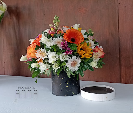 Floreria ANNA