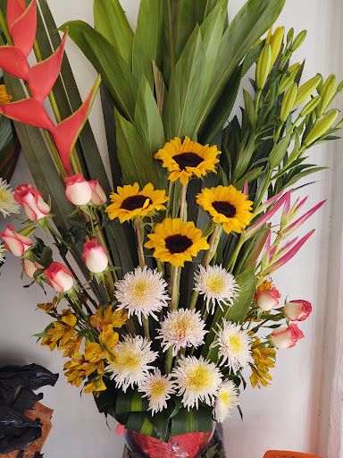 Floreria Belleza Floral