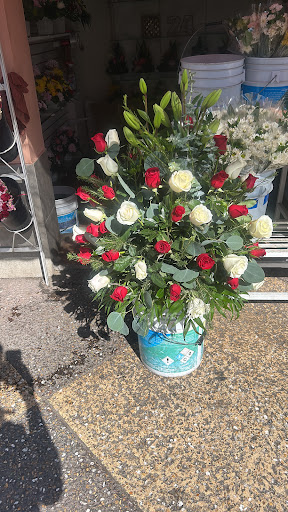 Florería "El botoncito"