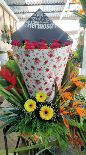 Floreria Lopez
