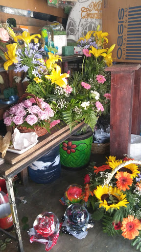 Floreria la pequeña