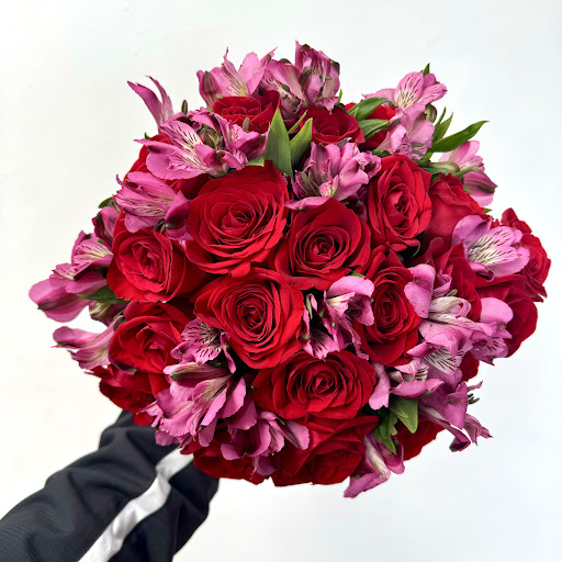 FLORES EXCLUSIVAS S.P.R. DE R.L.