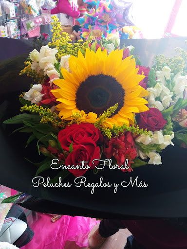 Encanto Floral