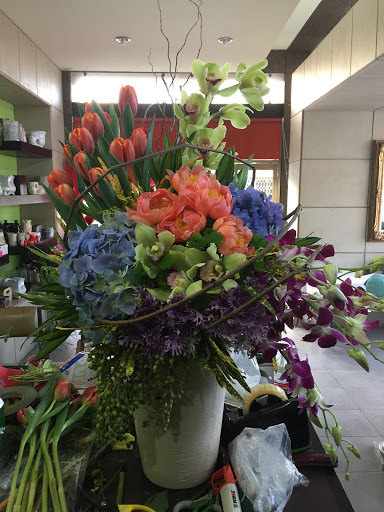 Candox Florería