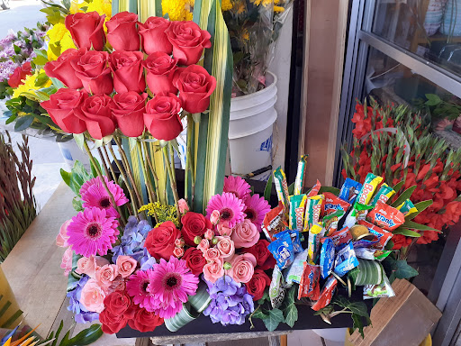 HERNÁNDEZ FLORERÍA