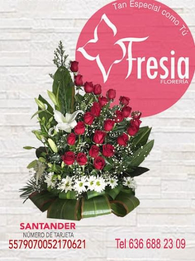 Floreria FRESIA