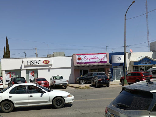 Floreria Orquidea Nuevo Casas Grandes