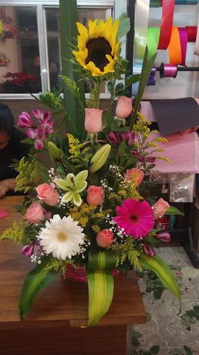 Floreria lucero cuauhtemoc chihuahua