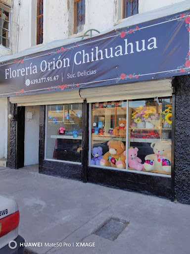 Florería Orion Suc Delicias