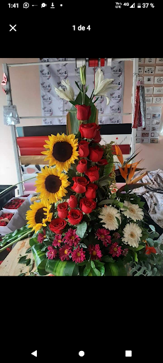 Florería majo