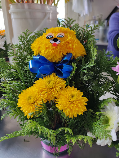 Florería Gema