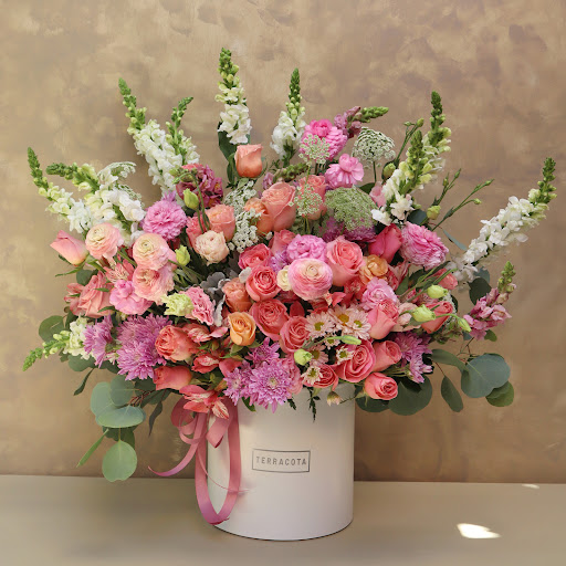 Terracota la Floreria León