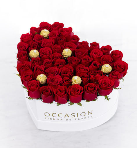 OCCASION Casa Floral