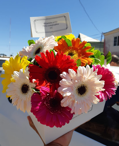 Flores cuu