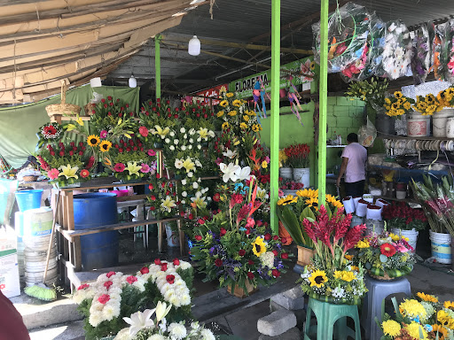 Florería Diana