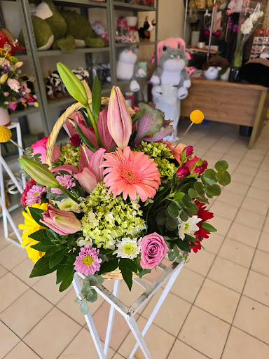 Floristería boutique, Jiménez chih.