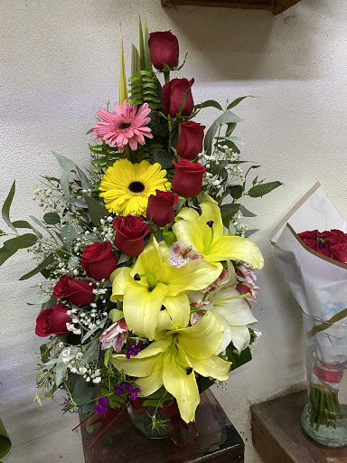 Florería Ave De Paraíso