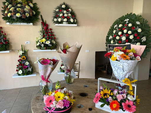 Tienda de flores María José