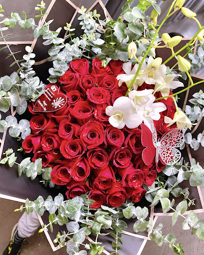 Florilegio MX