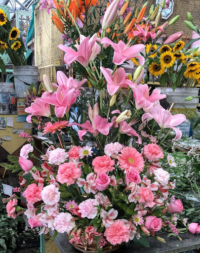 Floreria Don Benja