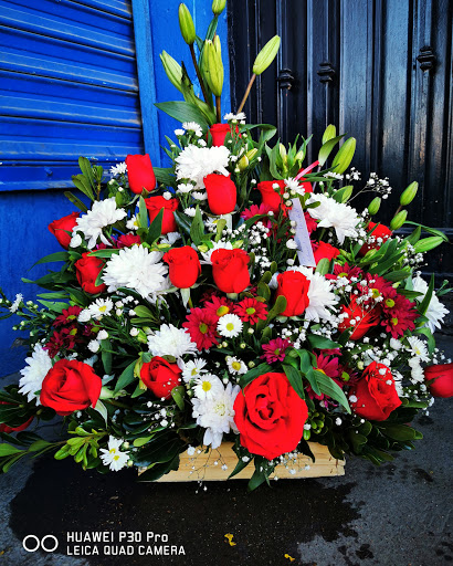 Floreria Orion Chihuahua Suc 2