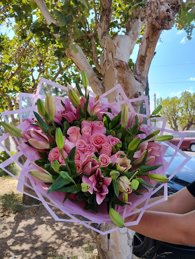 Alcatraz Florería NCG