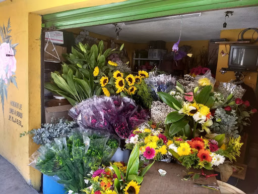 Florería Melchor Ocampo