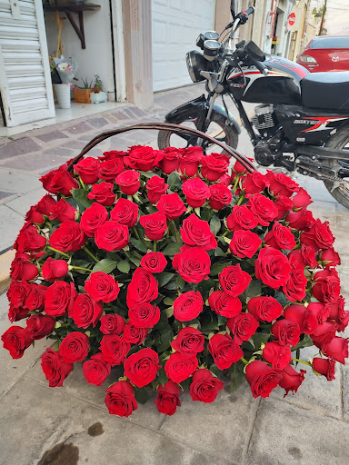 El Florista Galería's