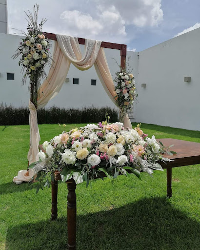 Floreria las Margaritas Barragan