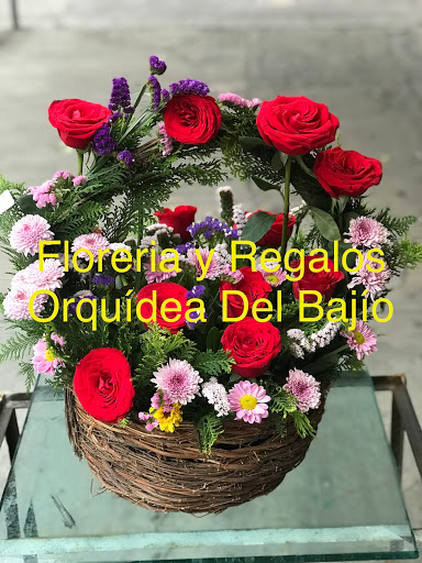 Floreria y Regalos Orquídea Del Bajío