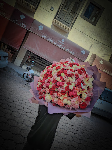 Florería ave de paraíso