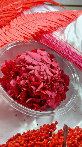 Flores y Follajes Preservados