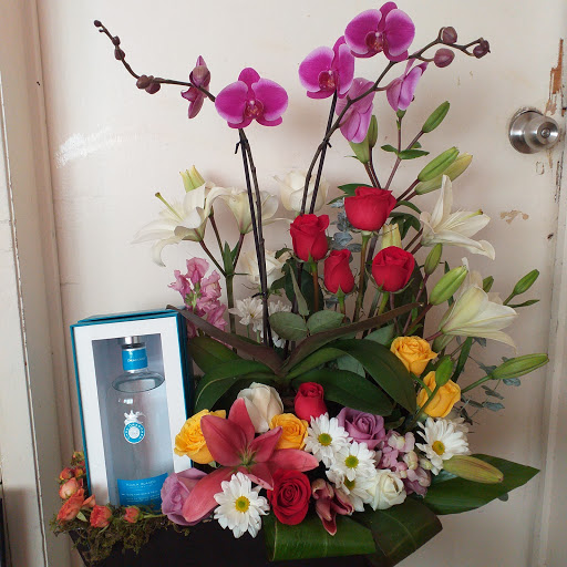 Floreria Sukses