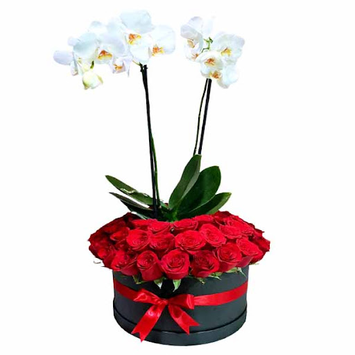 FLORERIA ACENTO FLORAL