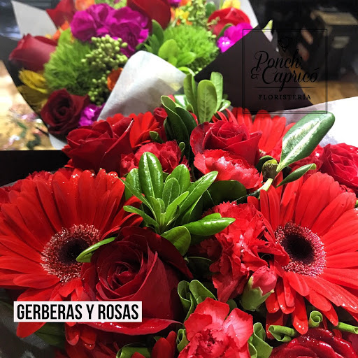 Florería Ponch' & Capricó | Envía Flores a Domicilio CDMX